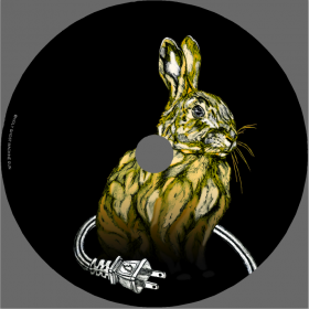 Disc Surface Art